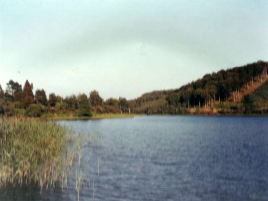 Pynten ved Thorsø set fra vest (ca. 1966-68)