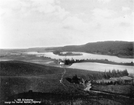 Udsigt over Thorsø fra Højborg. Nr. 127 ses på billedet (ca. 1890)