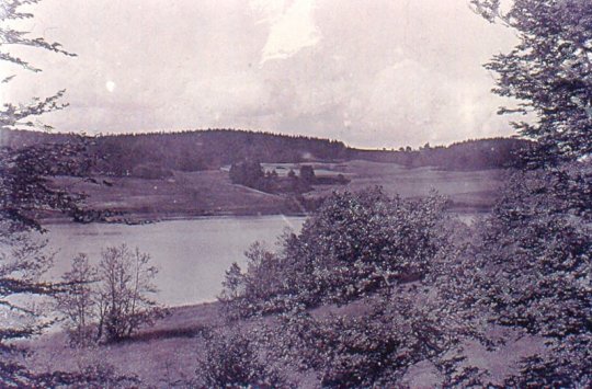 Vesterlundområdet set fra sydsiden af Thorsø ca. 1915. Bag træerne i billedets venstre side skimtes Vesterlundgård (nuværende grund nr. 220)
