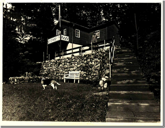 Nr. 133