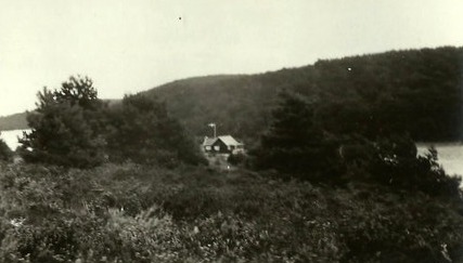 Nr. 207