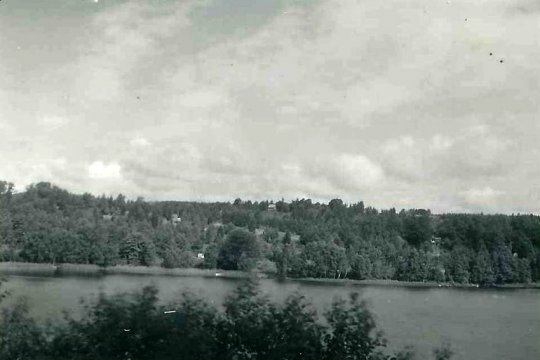 Udsigt mod sommerhusområdet fra sydsiden af Thorsø