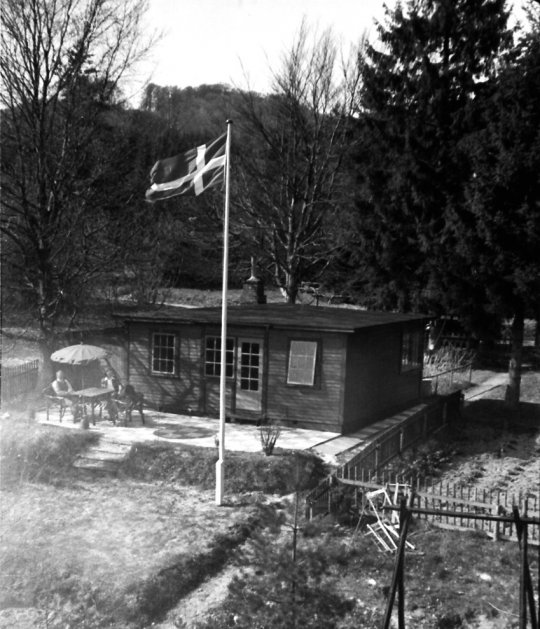 Nr. 241