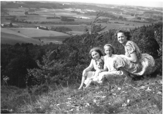 Udsigt fra Frederik 7. Høj (1946)