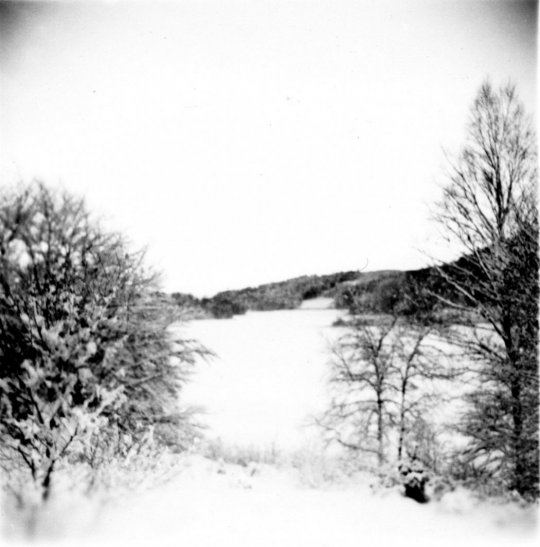 Udsigt fra nr. 197 (starten af 1950erne)