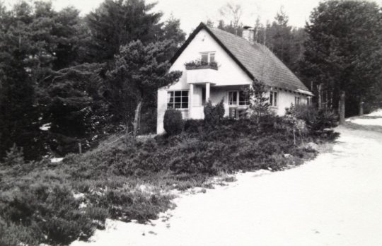 Nr. 194 (1960erne)