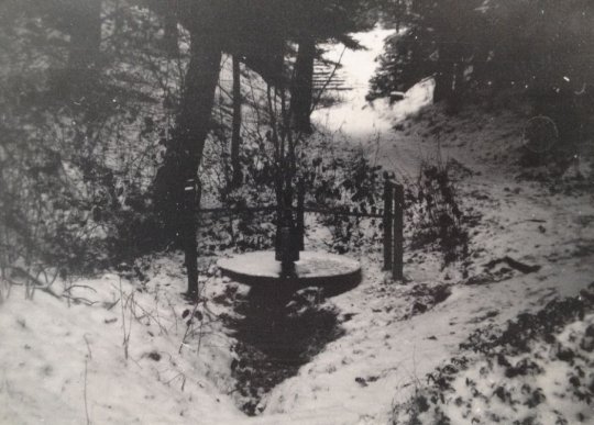 Vandbrønd i Vesterlund (ved nr. 233)