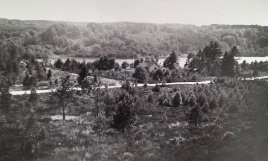 Udsigt mod nr. 229 og Thorsø (1950erne)