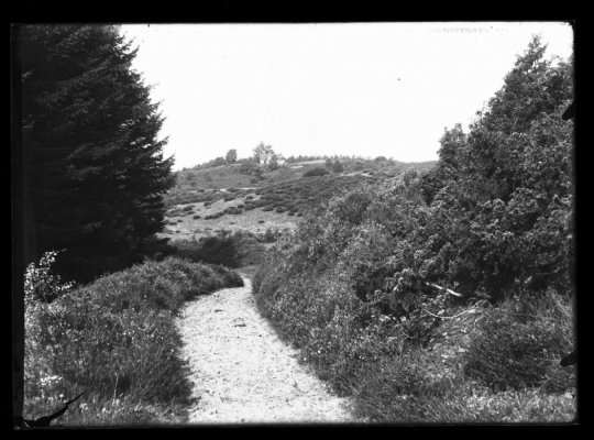Hjborg ca. 1910. Fotograf Hans Pors. Venligst udlnt af Silkeborg Arkiv.