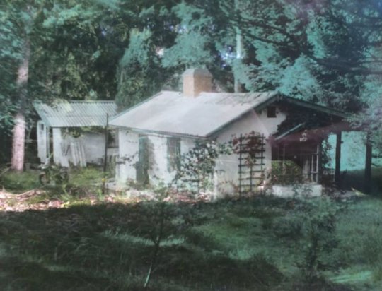 Nr. 106